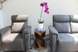 The Zora Round Accent Solid Wood End Table 14 in DIA x 23 in H Walnut