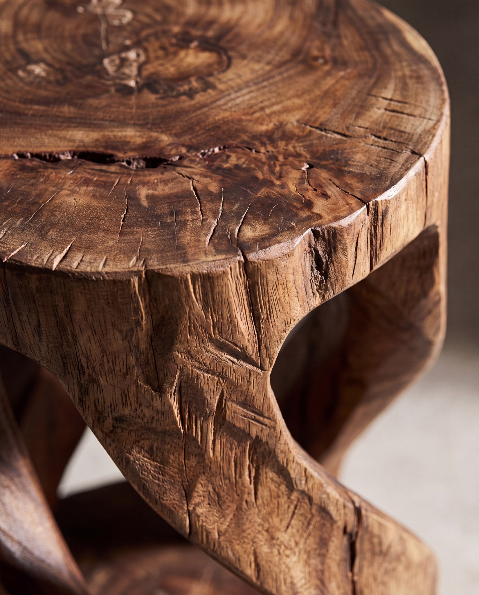 Radice Root Stump Side Table