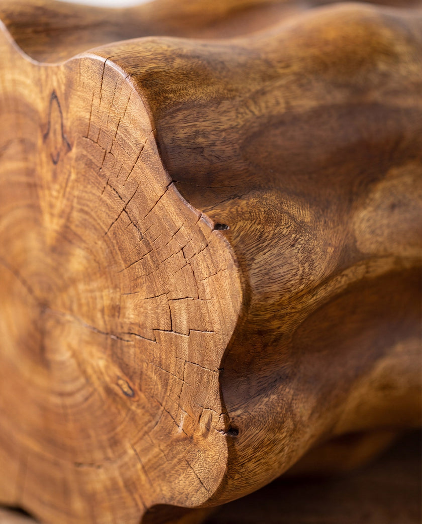 Nodo Knotted Root Side Table